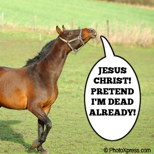 DEAD-HORSE